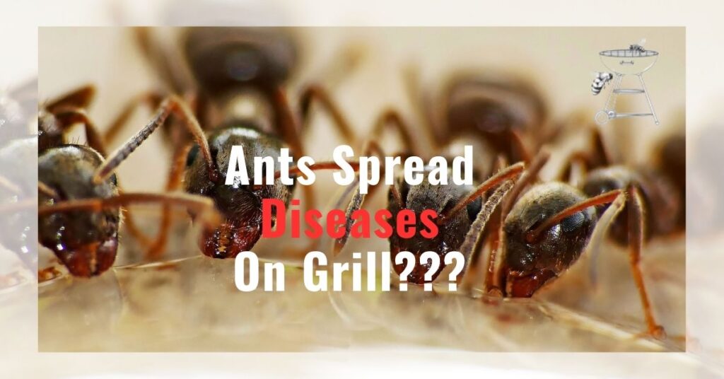 How to Get Rid of Ants in Your Grill