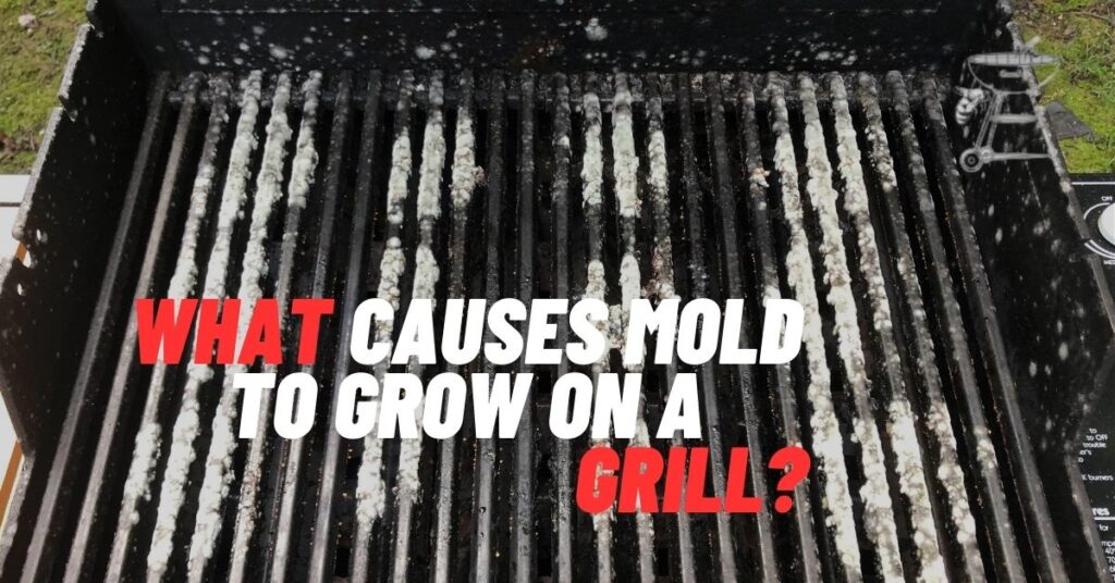 Is Mold on Grill Dangerous