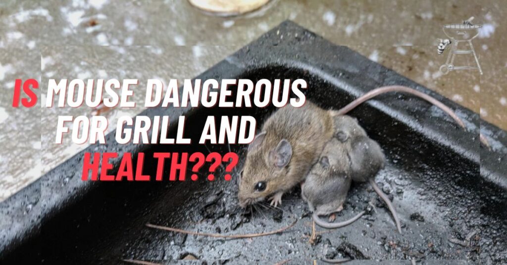 How to Keep Mice Out of Your Grill